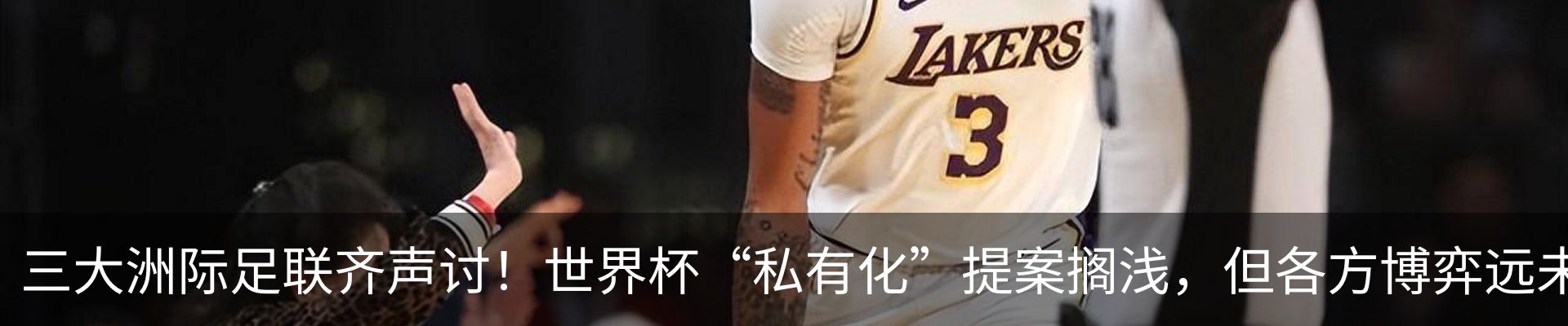 新闻动态