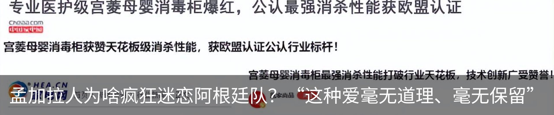 新闻动态