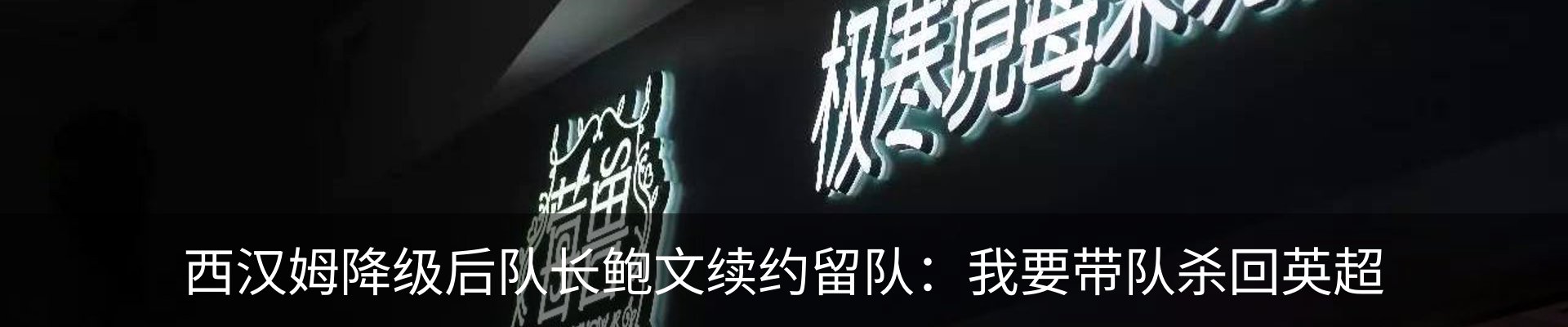 新闻动态