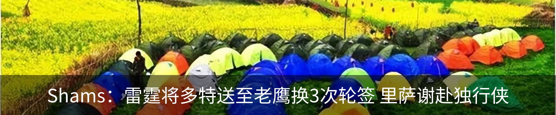 新闻动态